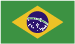Brazil Soccer Tournaments
