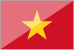 Vietnam Kupası