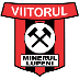 Minerul Lupeni