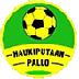 Haukiputaan Pallo