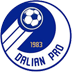 Dalian Professional FC
