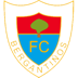 Bergantiños FC