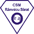 CSM Olimpia Satu Mare