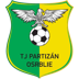Tj Partizan Osrblie