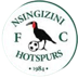 Nsingizini Hotspurs