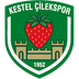 Kestel Çilek SK