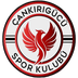 &Ccedil;ankırıg&uuml;c&uuml; SK
