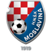 Moslavina